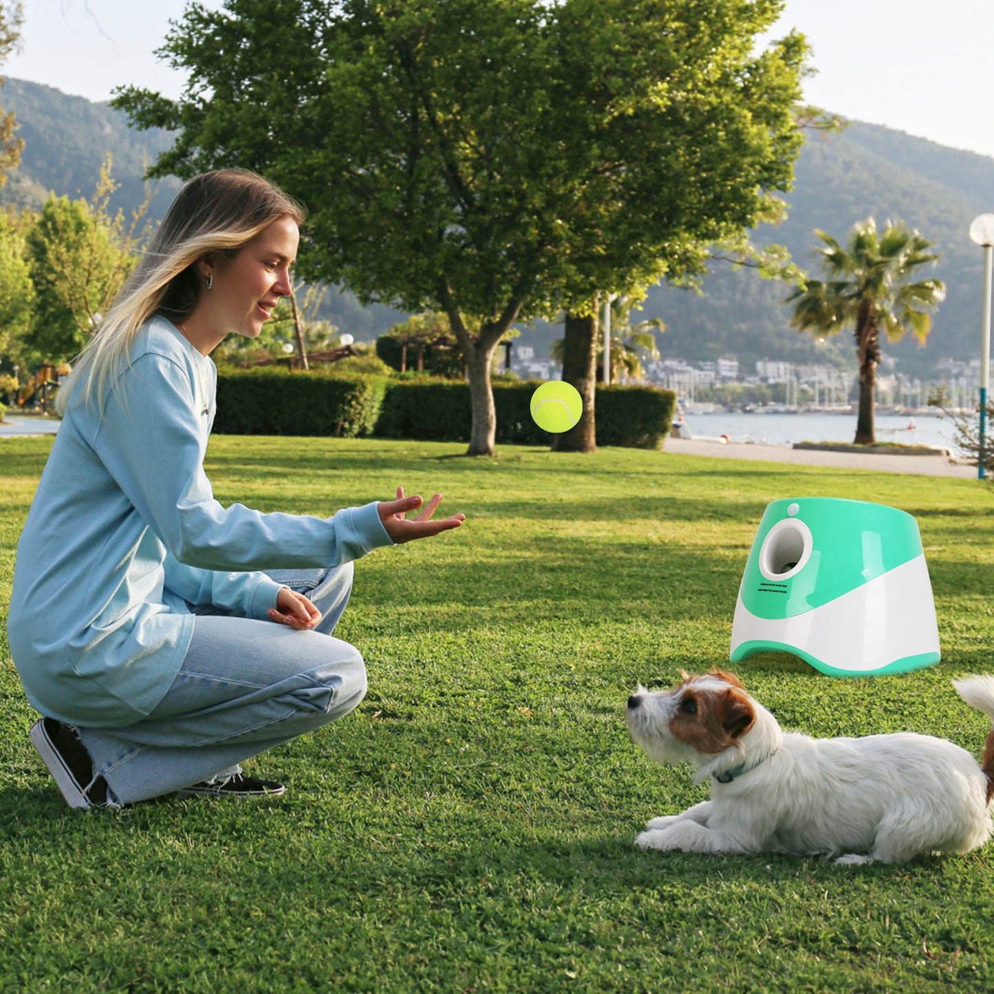 MetroFetch Pro - Urban Dog Ball Launchers