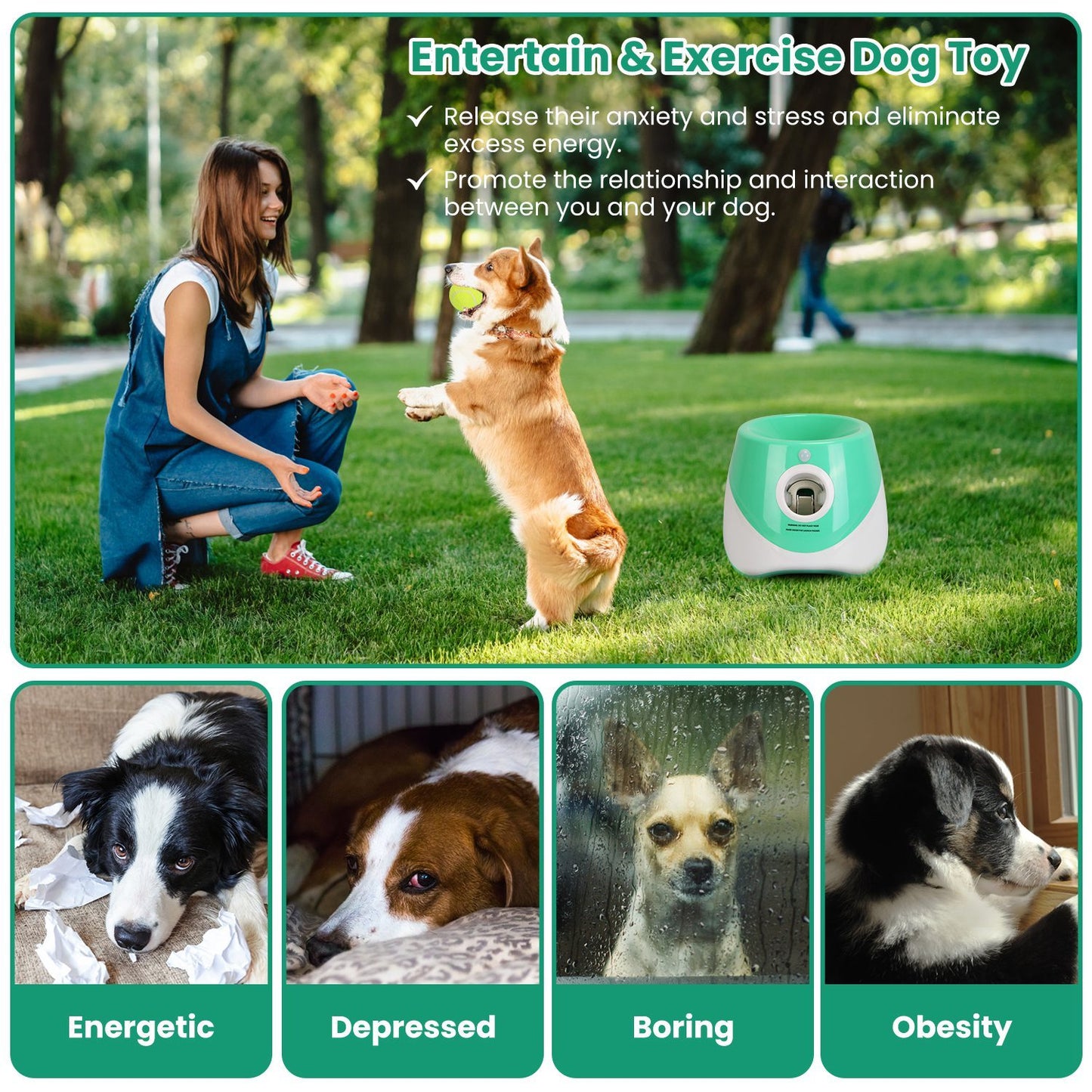 MetroFetch Pro - Urban Dog Ball Launchers